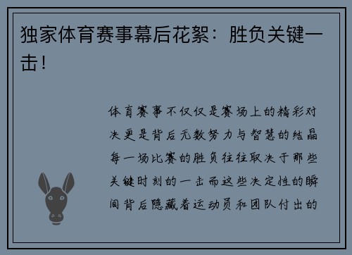 独家体育赛事幕后花絮：胜负关键一击！